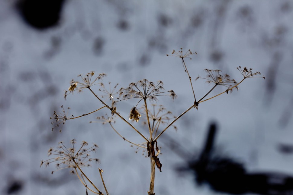 576ad54405728308492c0e100e8c0fa0_1425560