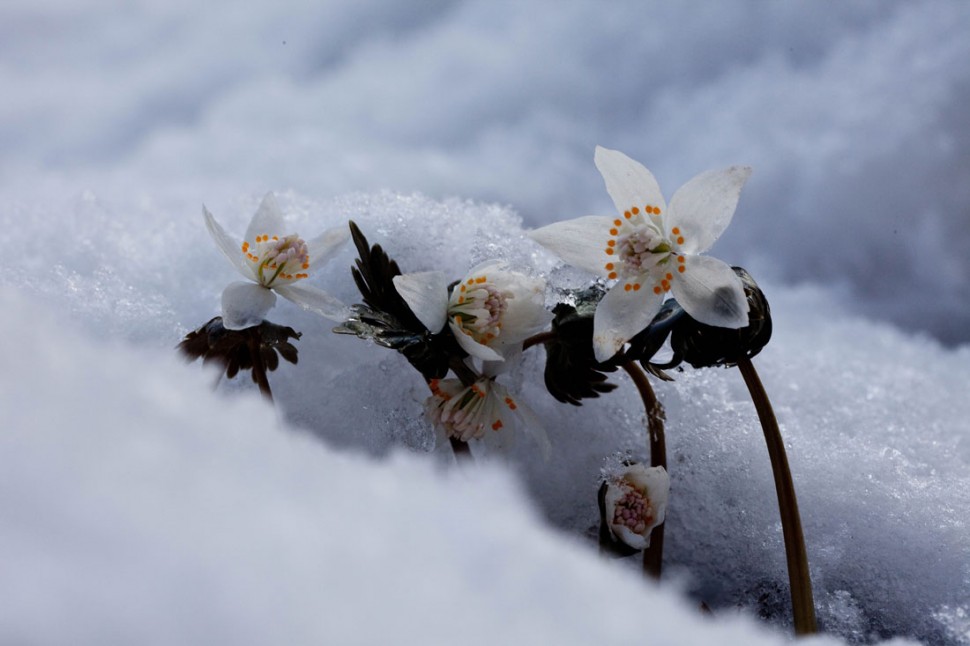 80374bb809934f090e213443cb1dd3ff_1425618